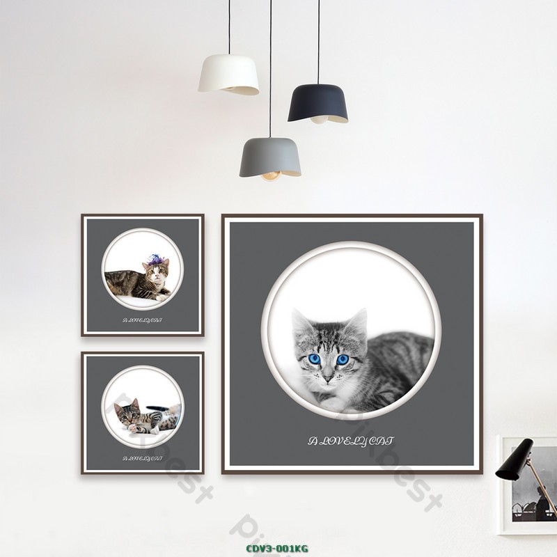 Động vật CDV3-001KG